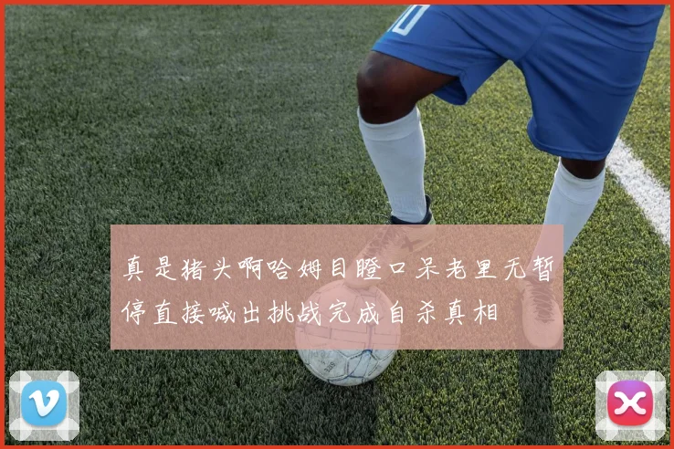 真是猪头啊哈姆目瞪口呆老里无暂停直接喊出挑战完成自杀真相