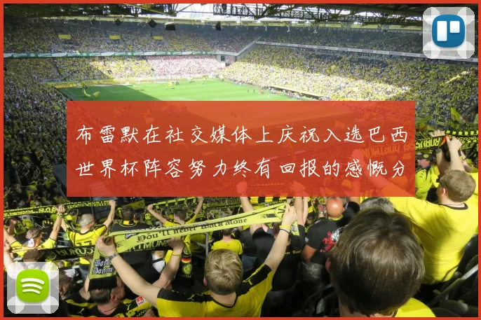 布雷默在社交媒体上庆祝入选巴西世界杯阵容努力终有回报的感慨分享