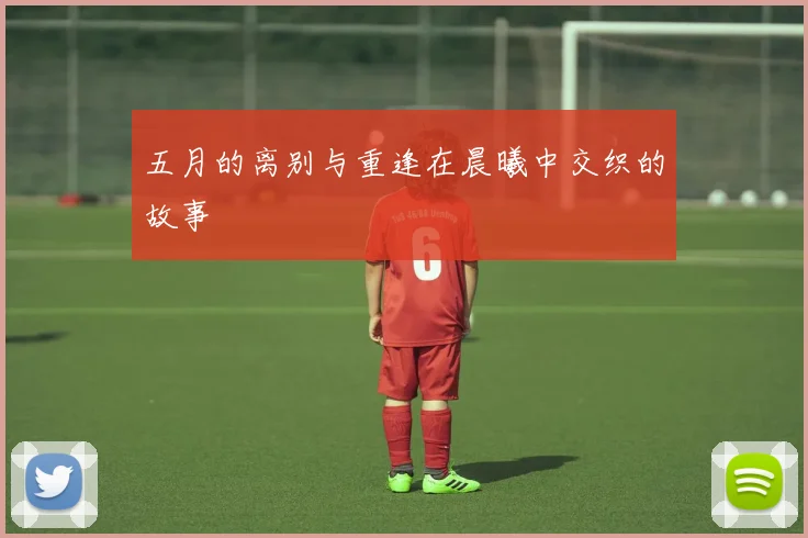 五月的离别与重逢在晨曦中交织的故事