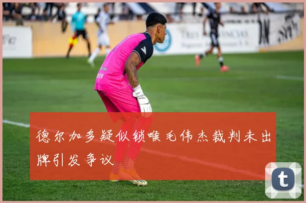 德尔加多疑似锁喉毛伟杰裁判未出牌引发争议